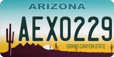AZ license plate AEX0229