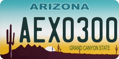 AZ license plate AEX0300
