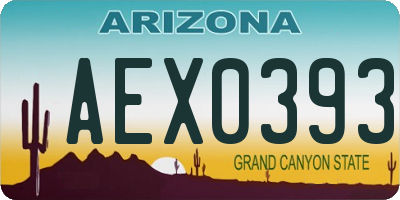 AZ license plate AEX0393
