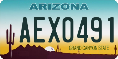 AZ license plate AEX0491