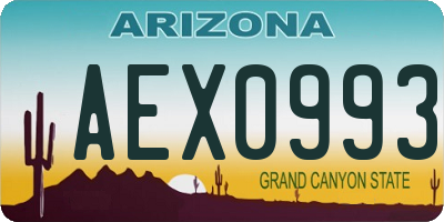 AZ license plate AEX0993