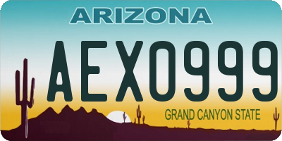 AZ license plate AEX0999