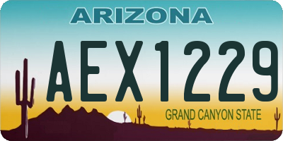 AZ license plate AEX1229