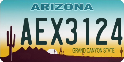 AZ license plate AEX3124