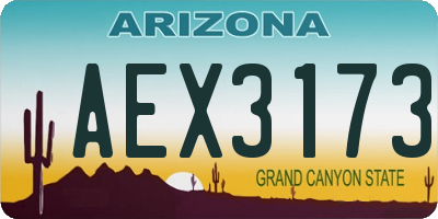 AZ license plate AEX3173