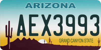 AZ license plate AEX3993