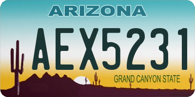AZ license plate AEX5231