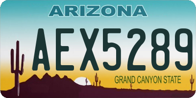 AZ license plate AEX5289