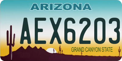 AZ license plate AEX6203