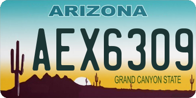 AZ license plate AEX6309