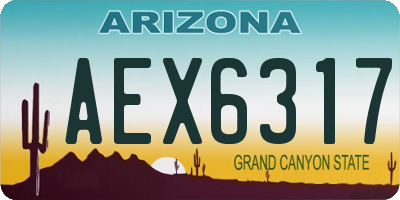 AZ license plate AEX6317