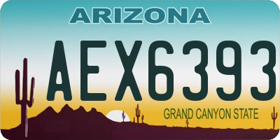 AZ license plate AEX6393