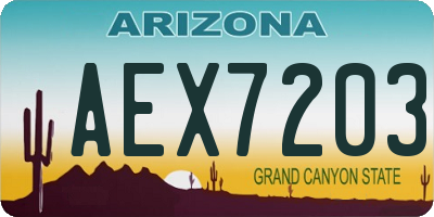 AZ license plate AEX7203