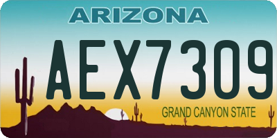 AZ license plate AEX7309