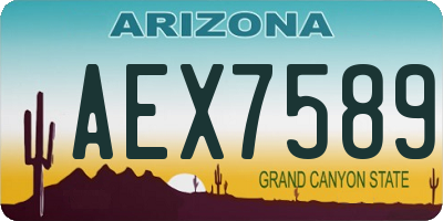 AZ license plate AEX7589