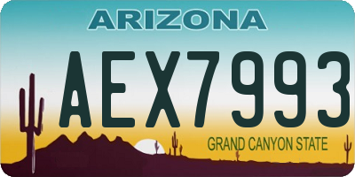 AZ license plate AEX7993