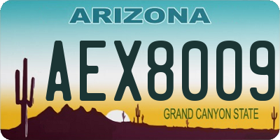 AZ license plate AEX8009