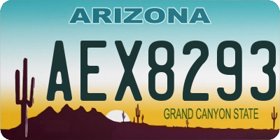 AZ license plate AEX8293