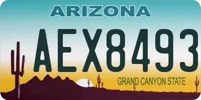 AZ license plate AEX8493
