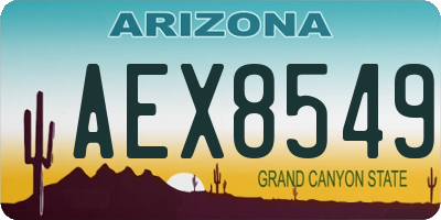 AZ license plate AEX8549
