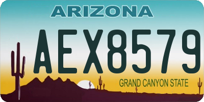 AZ license plate AEX8579