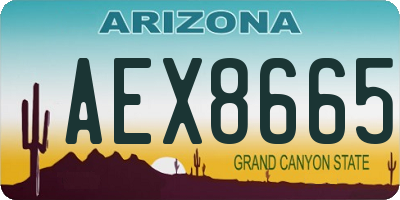AZ license plate AEX8665
