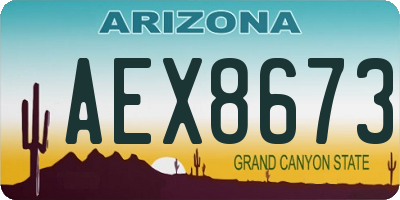 AZ license plate AEX8673