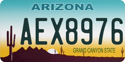 AZ license plate AEX8976