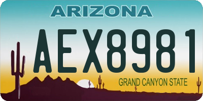 AZ license plate AEX8981
