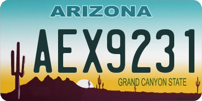 AZ license plate AEX9231