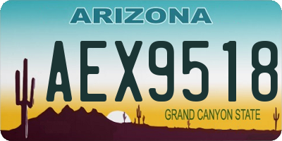 AZ license plate AEX9518