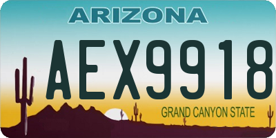 AZ license plate AEX9918