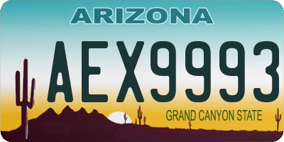 AZ license plate AEX9993
