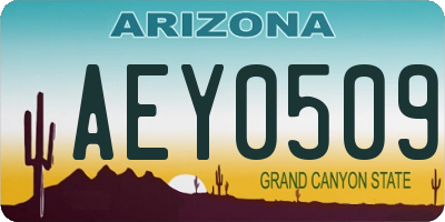 AZ license plate AEY0509