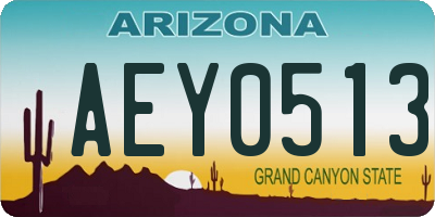 AZ license plate AEY0513