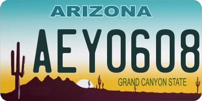 AZ license plate AEY0608
