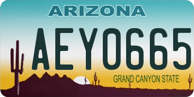 AZ license plate AEY0665