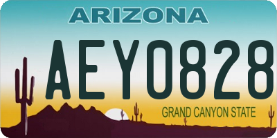 AZ license plate AEY0828