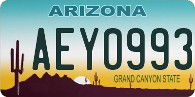 AZ license plate AEY0993