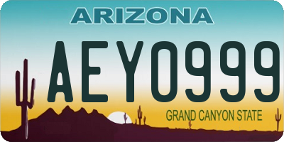 AZ license plate AEY0999
