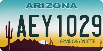 AZ license plate AEY1029