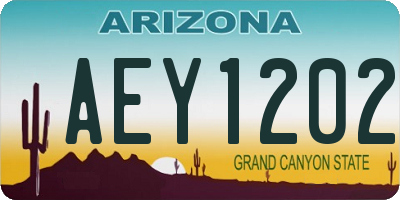 AZ license plate AEY1202