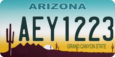 AZ license plate AEY1223