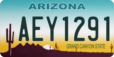 AZ license plate AEY1291
