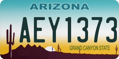 AZ license plate AEY1373