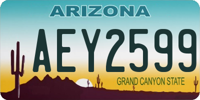 AZ license plate AEY2599