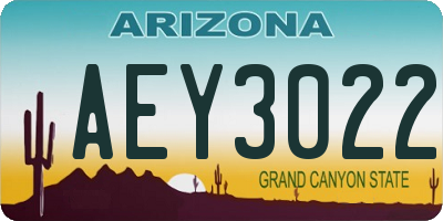 AZ license plate AEY3022