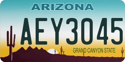 AZ license plate AEY3045