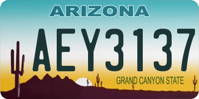 AZ license plate AEY3137