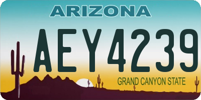 AZ license plate AEY4239